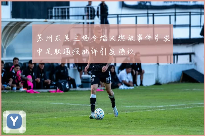 苏州东吴主场冷焰火燃放事件引发中足联通报批评引发热议